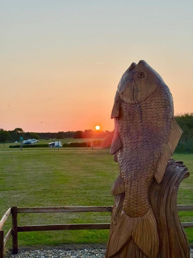 fish-wooden-sculpture-sunset