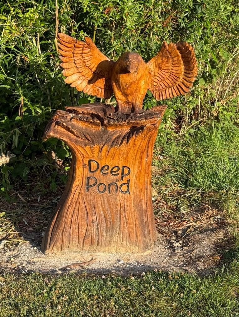 deep-pond(1)