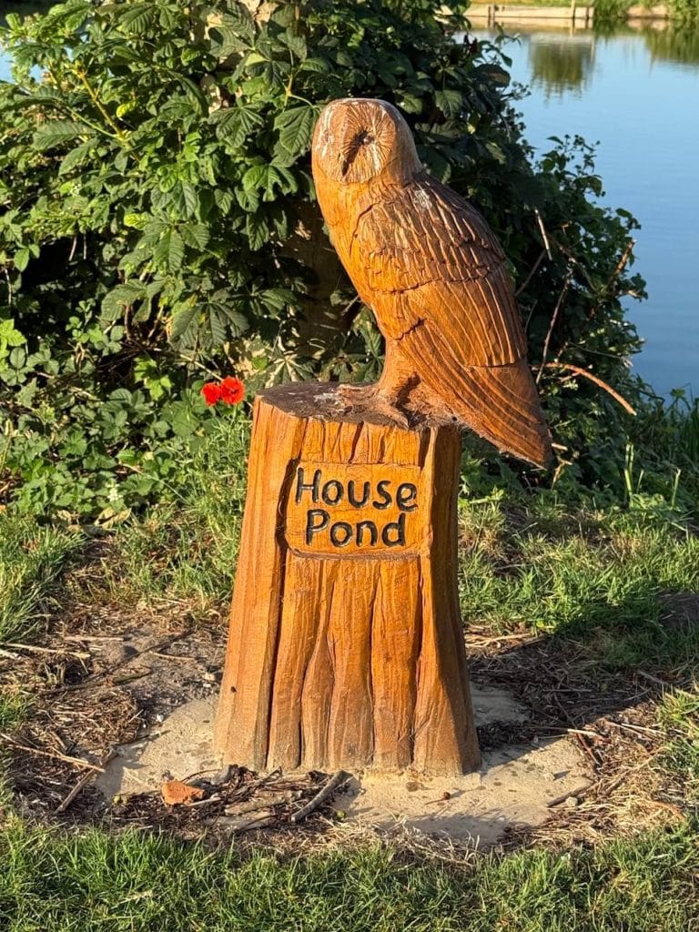 house-pond
